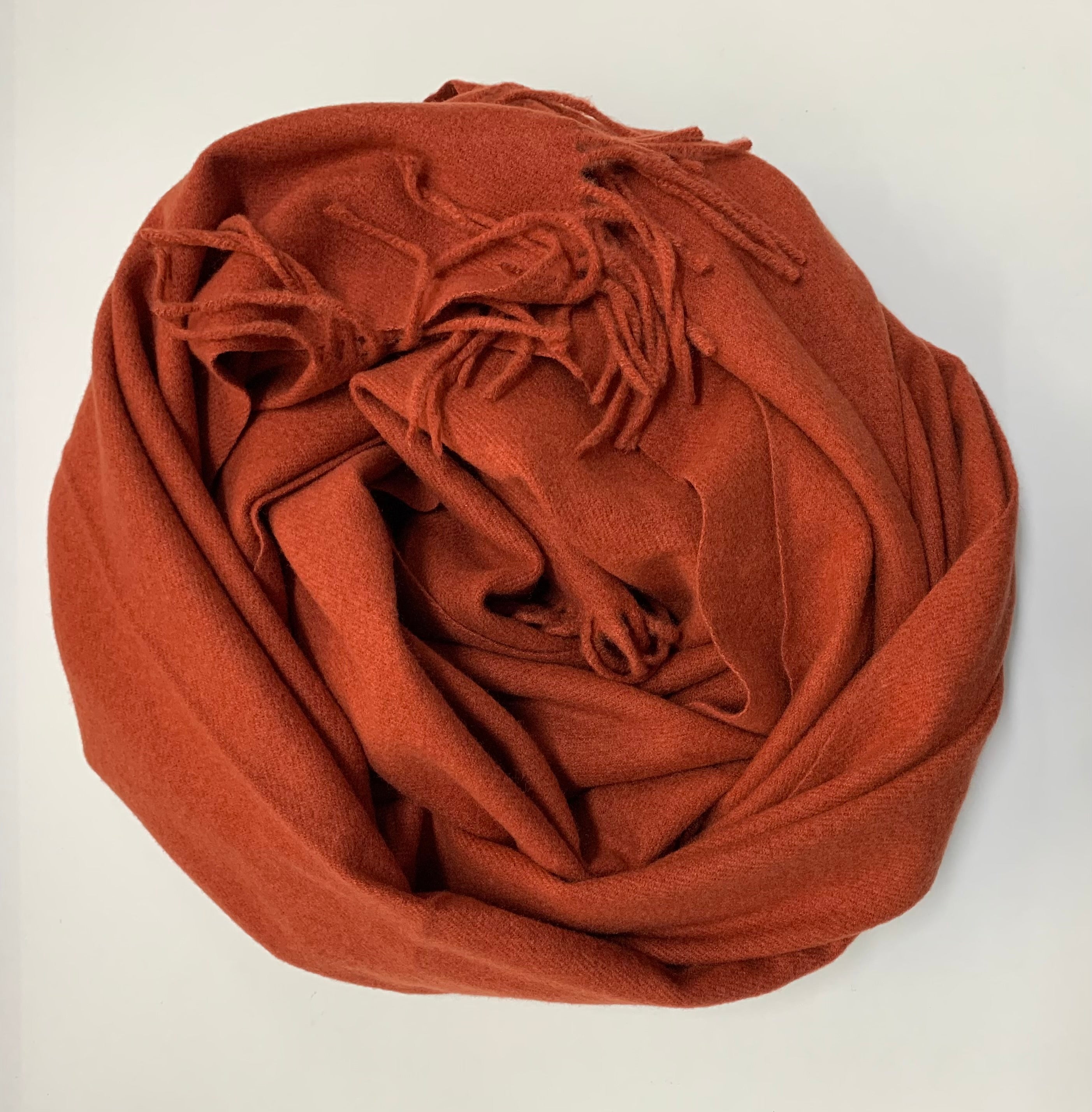 Etoles unies en Cachemire