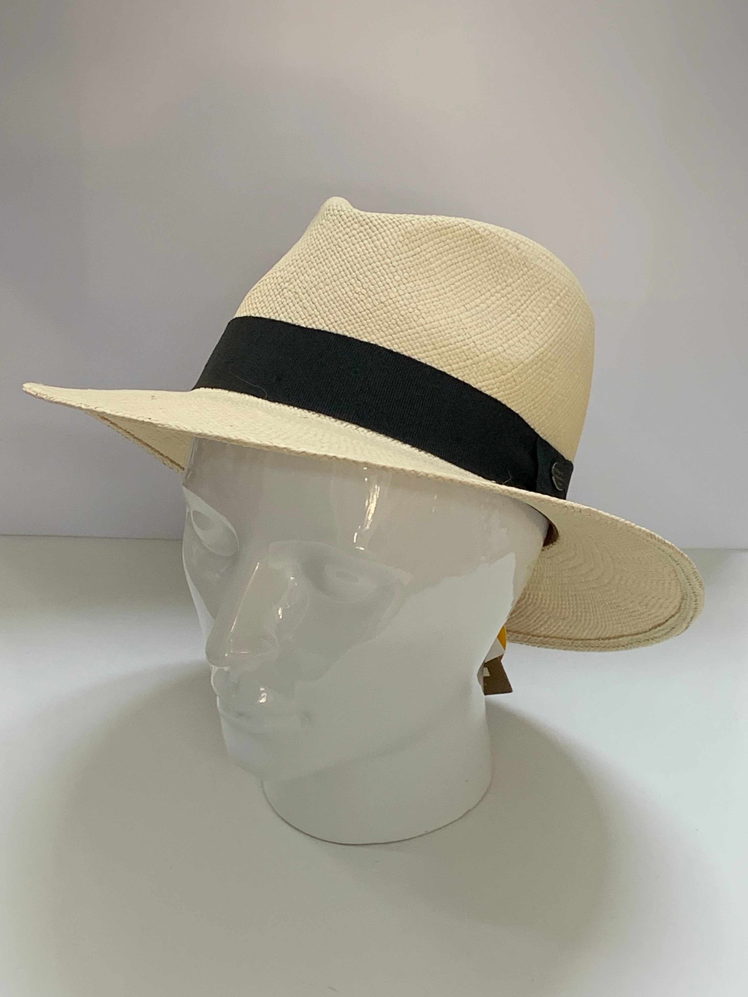 Traveller Panama