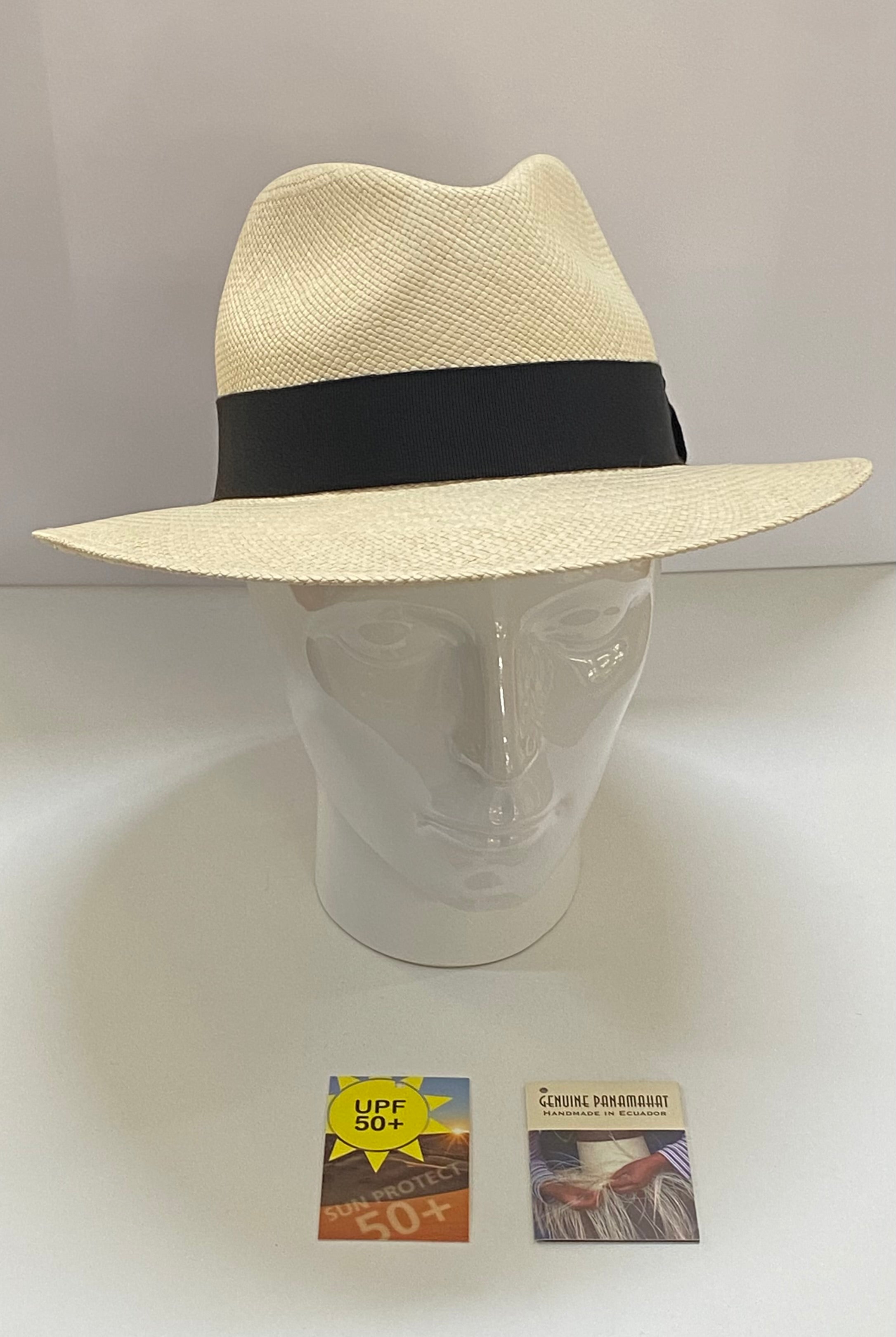 Traveller Panama